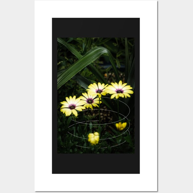 Yellow Cape Marguerite Daisy Geometric Wall Art by Robtography